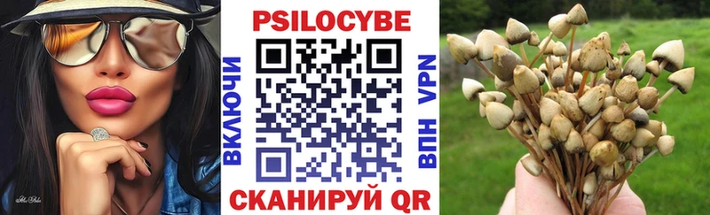 Галлюциногенные грибы Cubensis  что такое наркотик  Калязин 